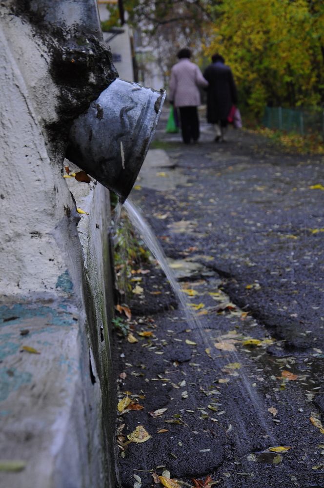 Photograph by Ольга Попченко