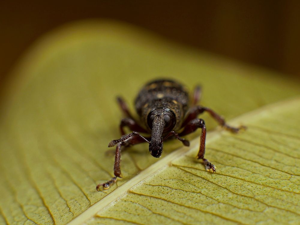 Photograph by Бьёрк