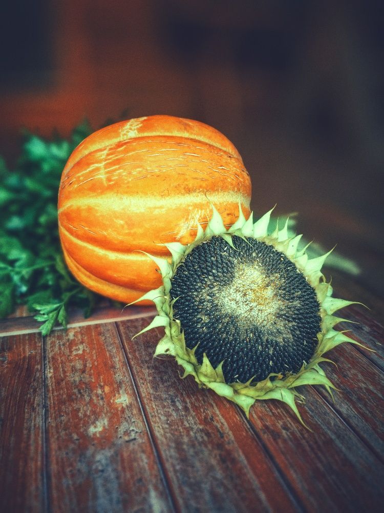 Photograph by Ekaterina Fadeeva