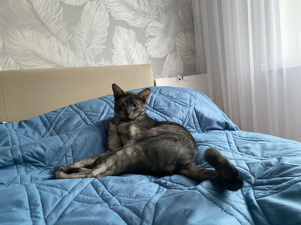 Photograph by Екатерина Амирасланова