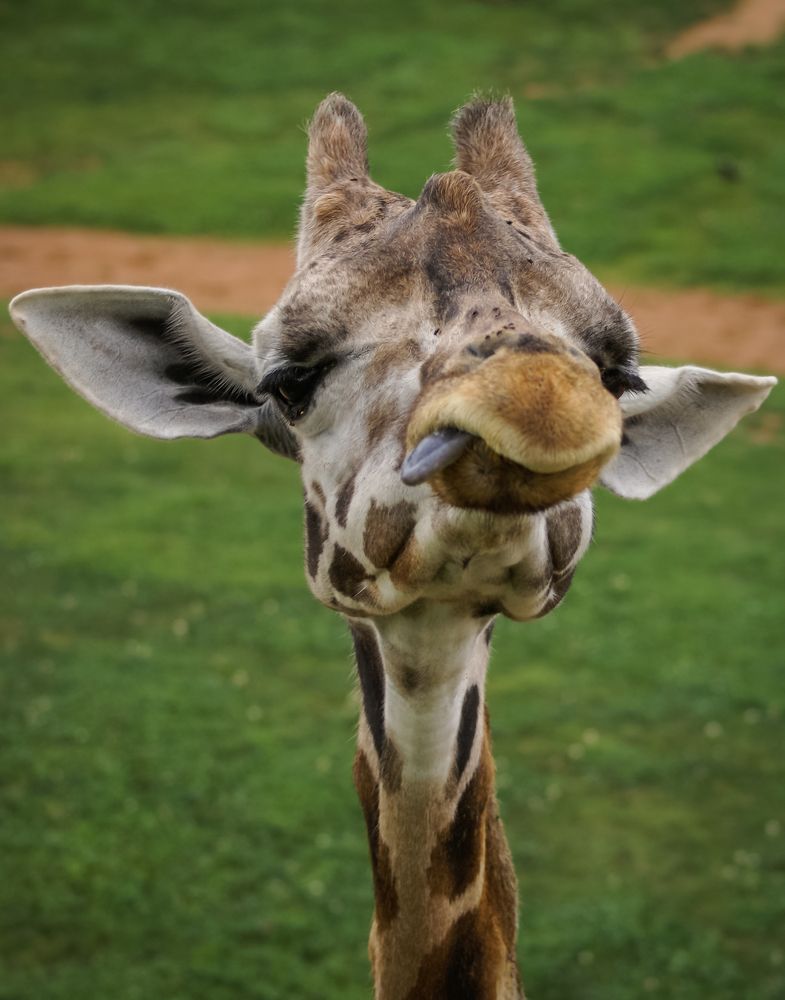 Photograph by Дария Максимова