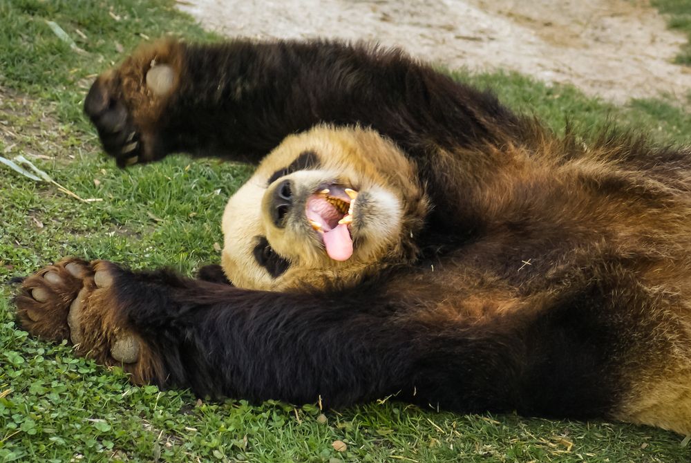 Photograph by Дария Максимова