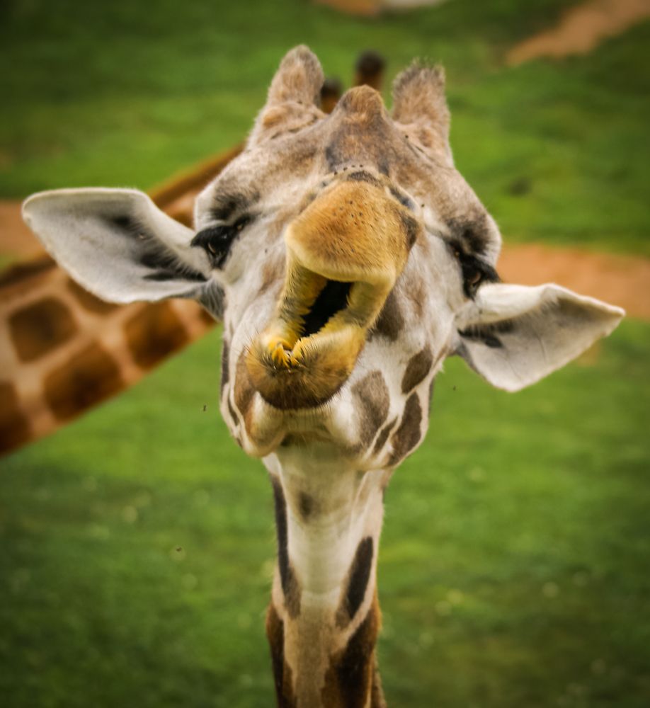 Photograph by Дария Максимова