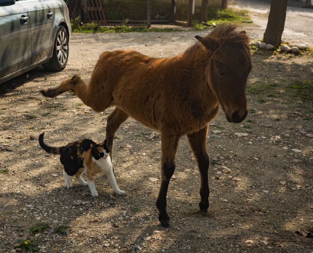 Photograph by Дария Максимова