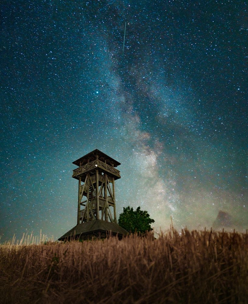 Photograph by WASTED