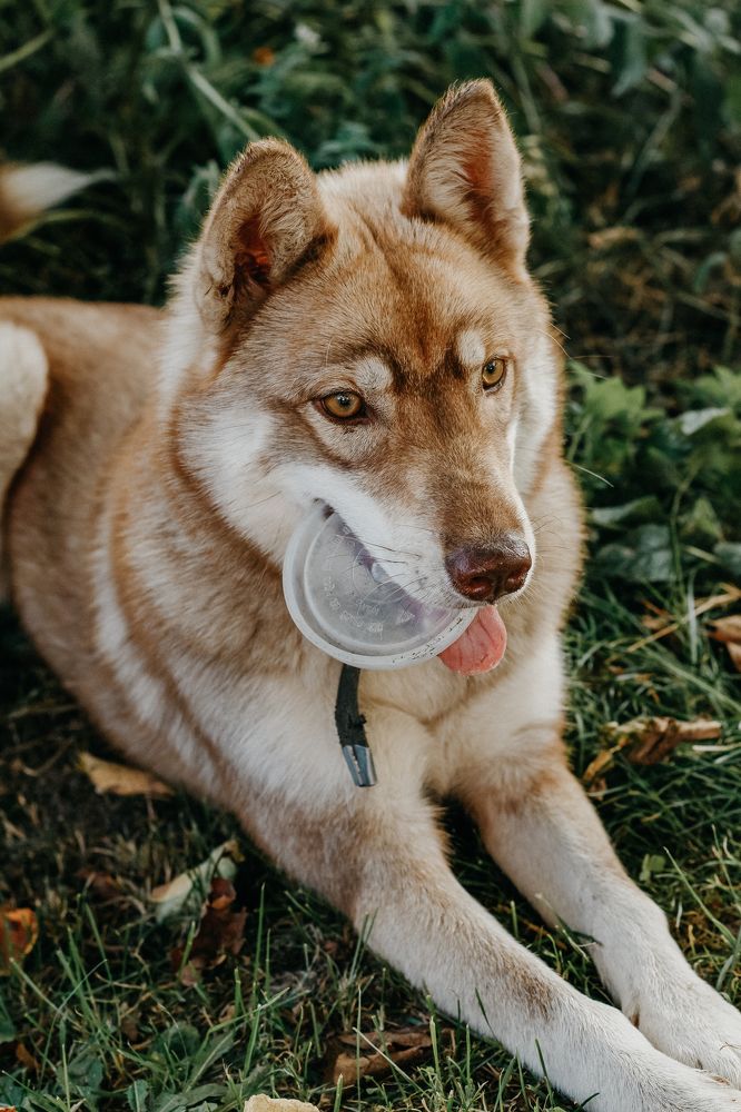 Photograph by Акинша Ксения