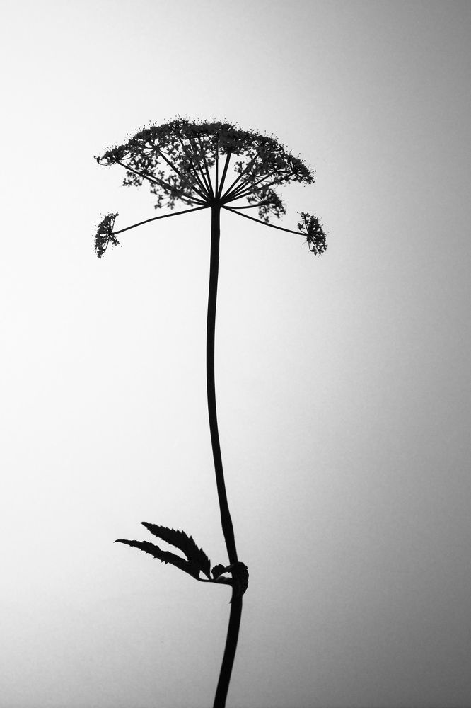 Photograph by Татьяна Бойцова