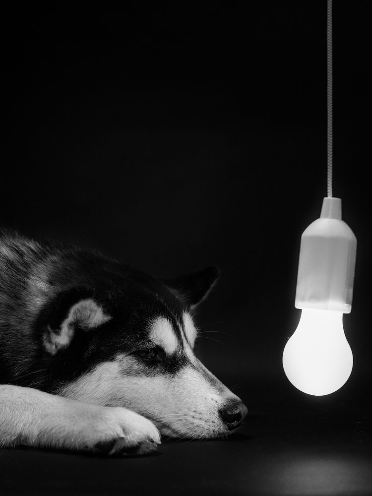 Photograph by Светлана Смирнова