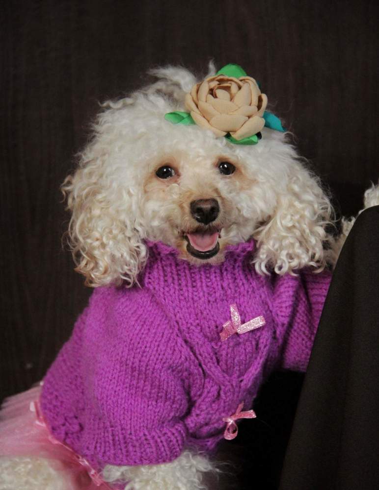 Фотография автора Елена Доянова