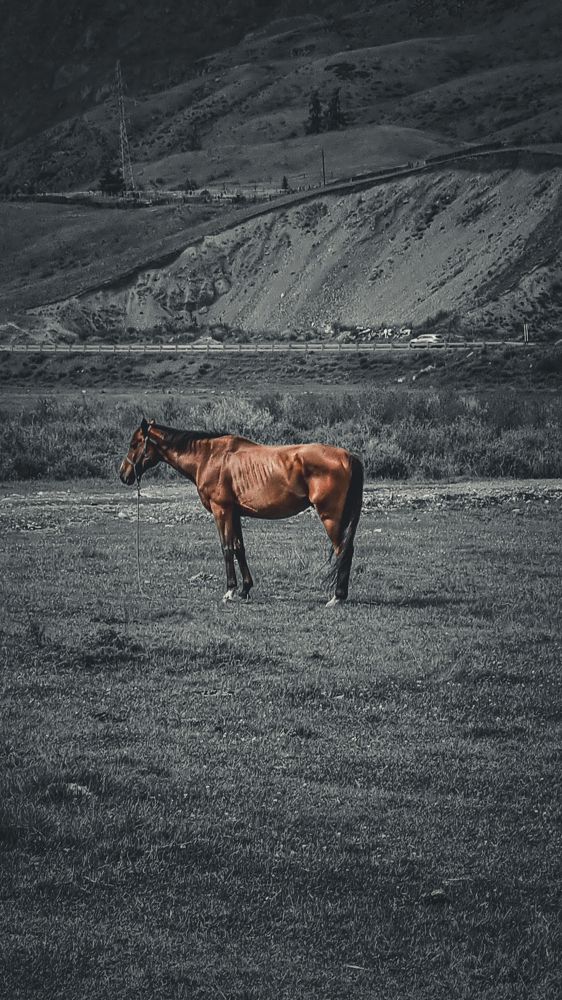 Photograph by Денис Бочаров