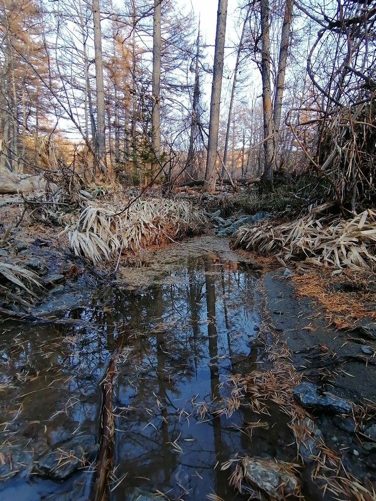 Photograph by Наталья Головина