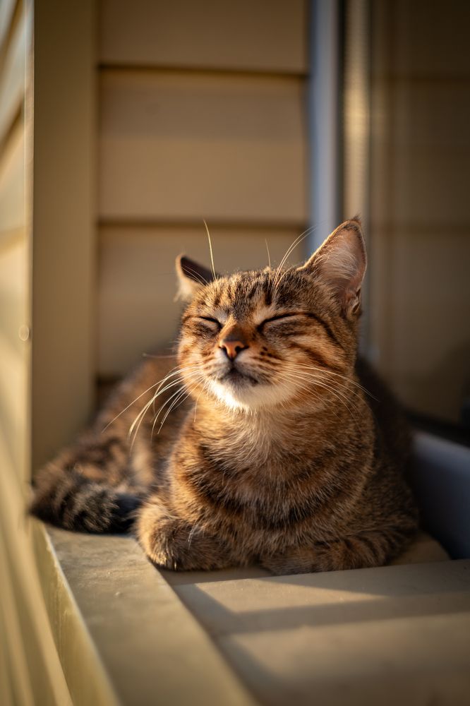 Фотография автора Дмитрий Referee