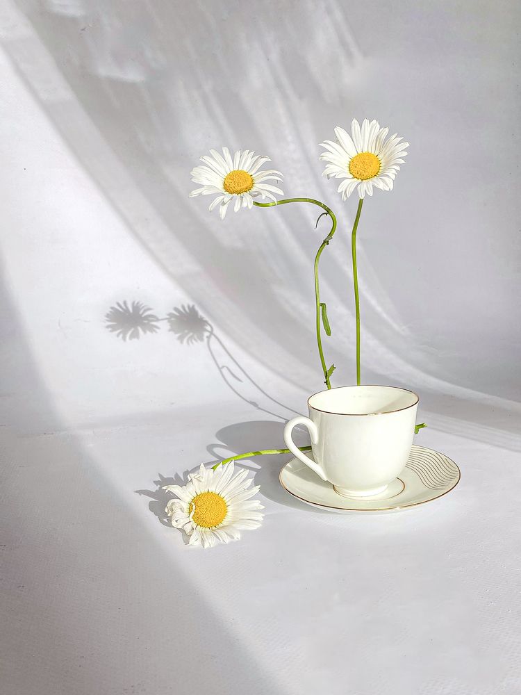 Photograph by Вера Романова