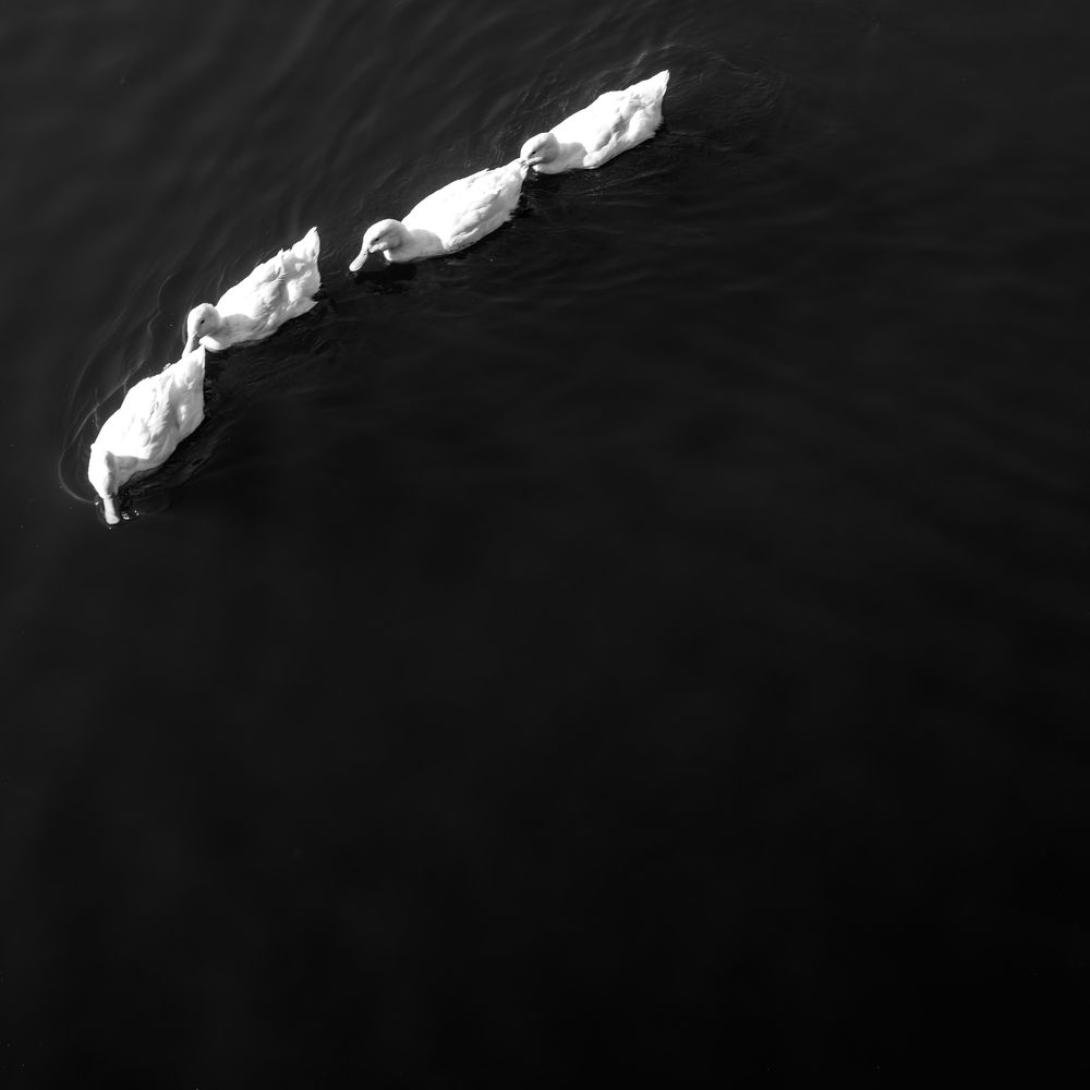 Photograph by Zacchaeus Zhao