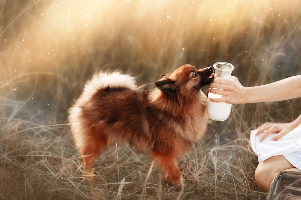 Photograph by Vero Herrero