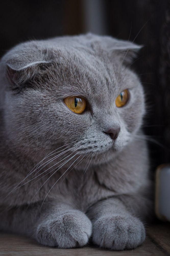 Photograph by Вася Кадочников