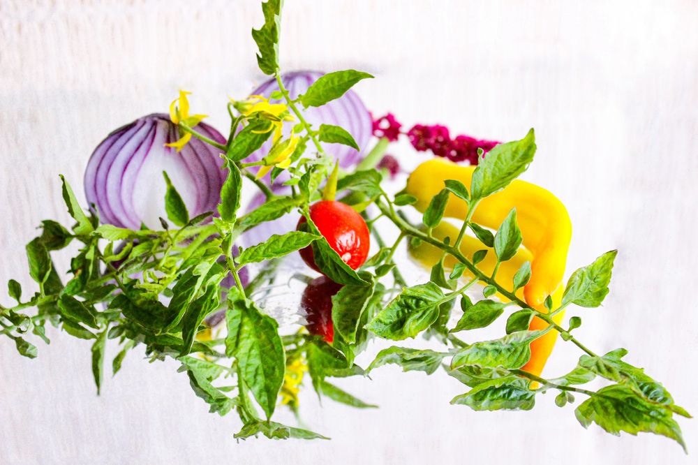 Photograph by Ирина Дмитриенко