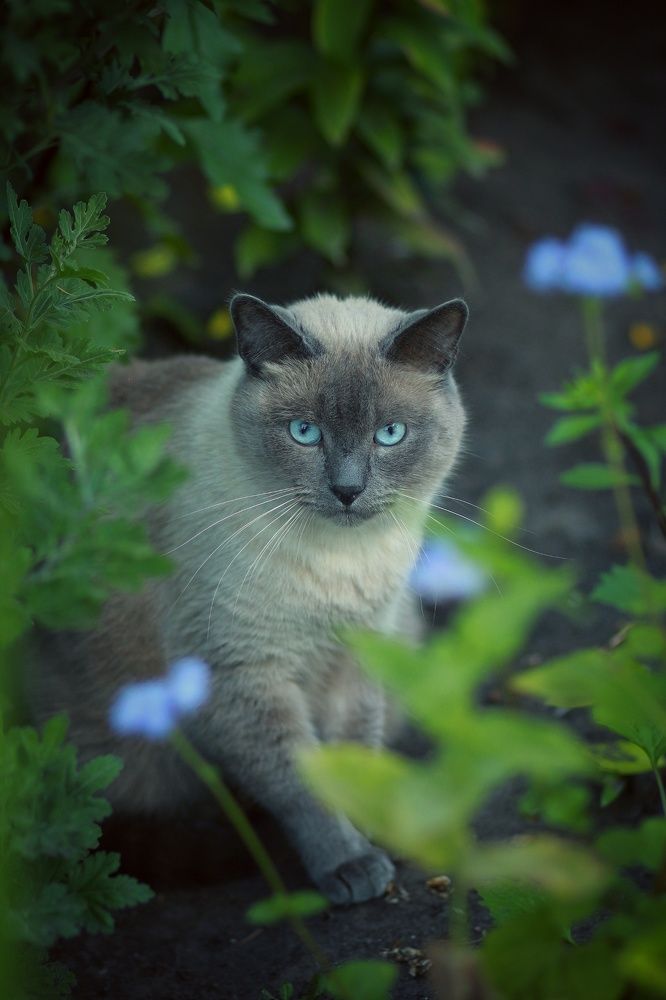 Photograph by Инга Сабанова