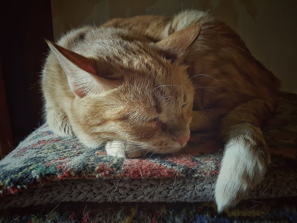 Photograph by Инга Сабанова