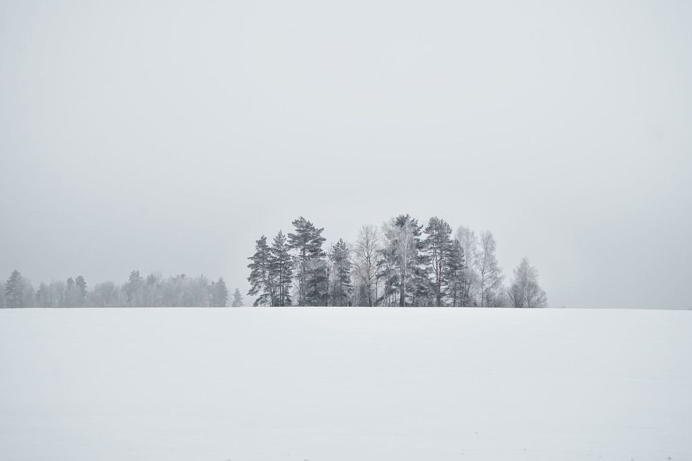 Photograph by Ольга Лобачёва