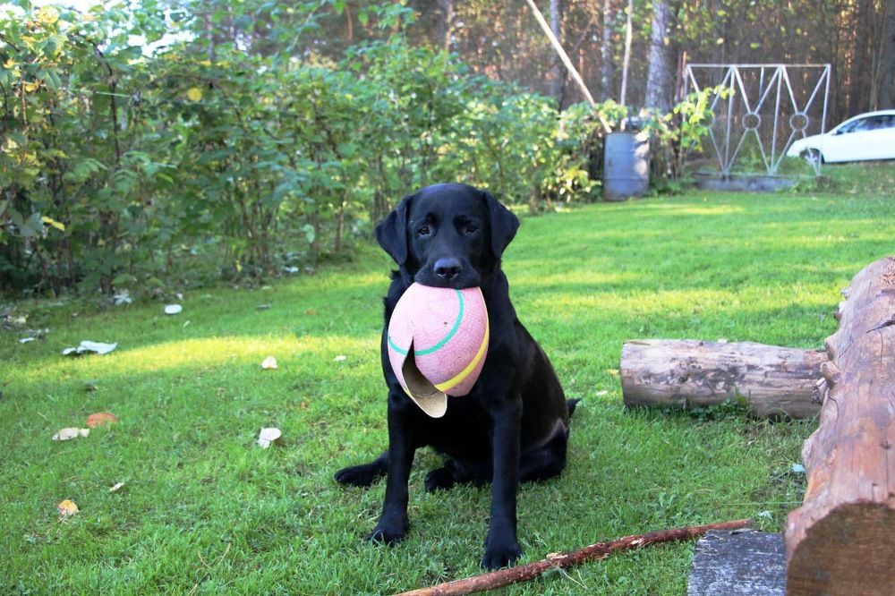 Photograph by Марина Захарова