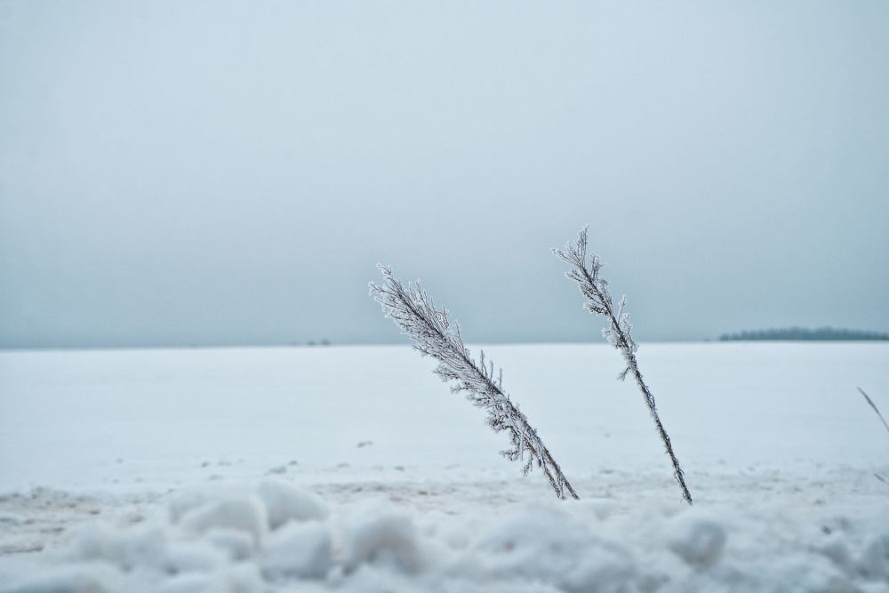 Photograph by Ольга Лобачёва