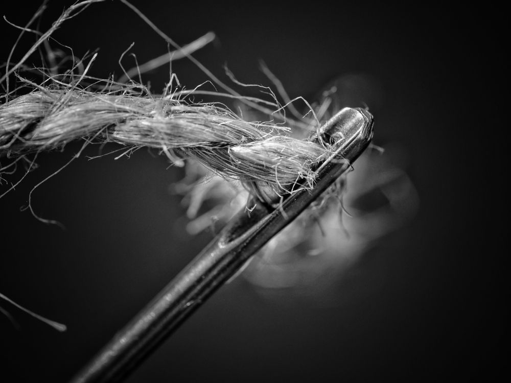 Парусная игла