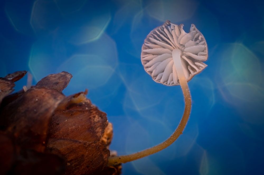 Photograph by Николай Фонарёв