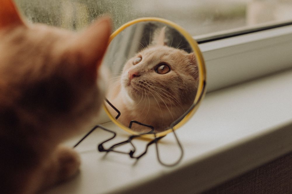 Photograph by Ксения