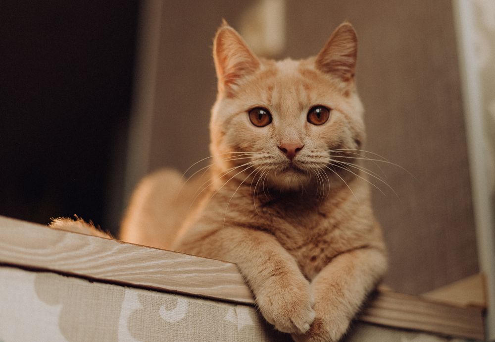 Photograph by Ксения