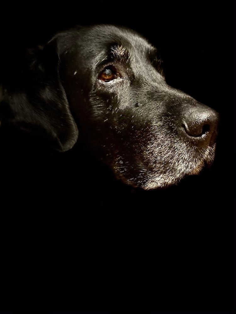 Photograph by Марина Захарова