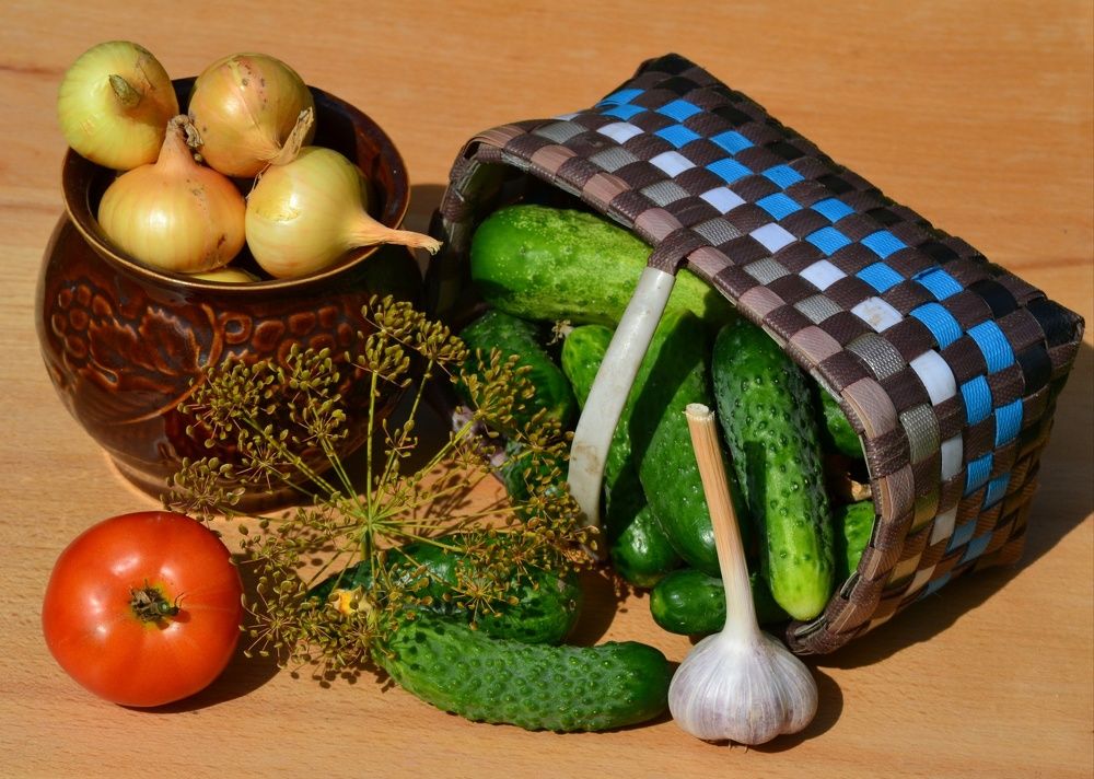 Photograph by  александр