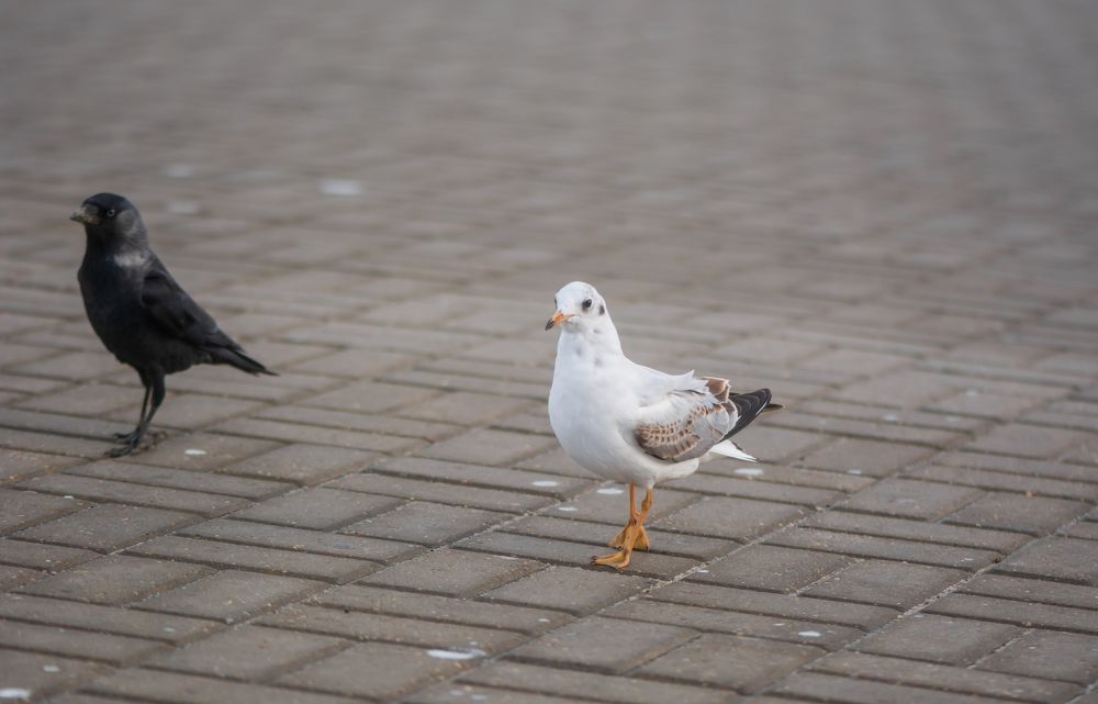 Photograph by Agita Leimane