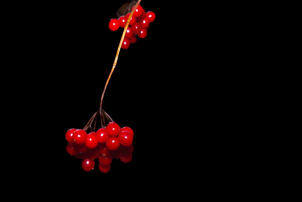 Photograph by Natalia Artamonova