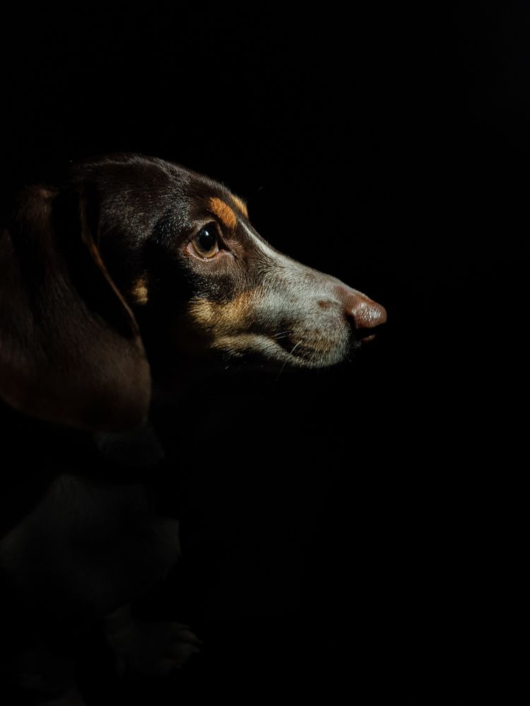 Фотография автора Ольга Шишук