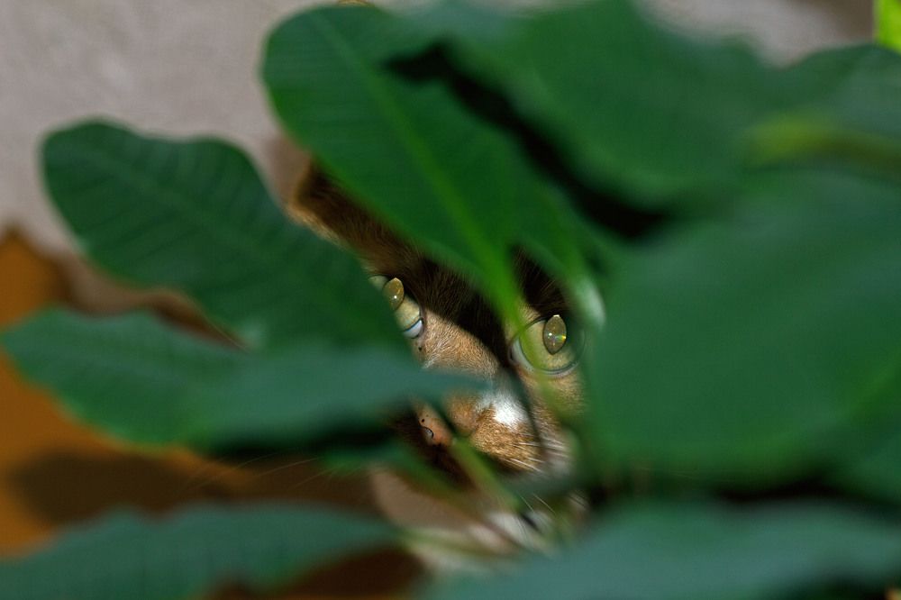 Photograph by Татьяна Раковская