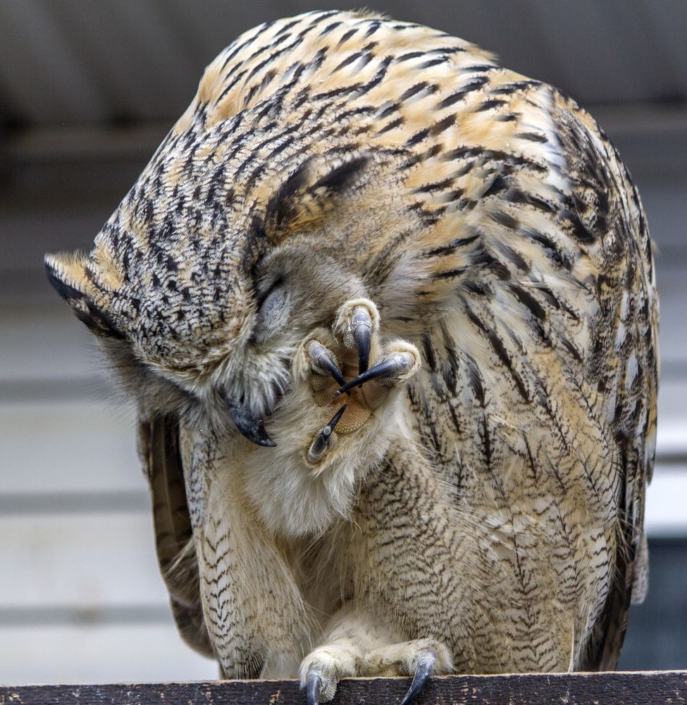 Photograph by Татьяна Раковская