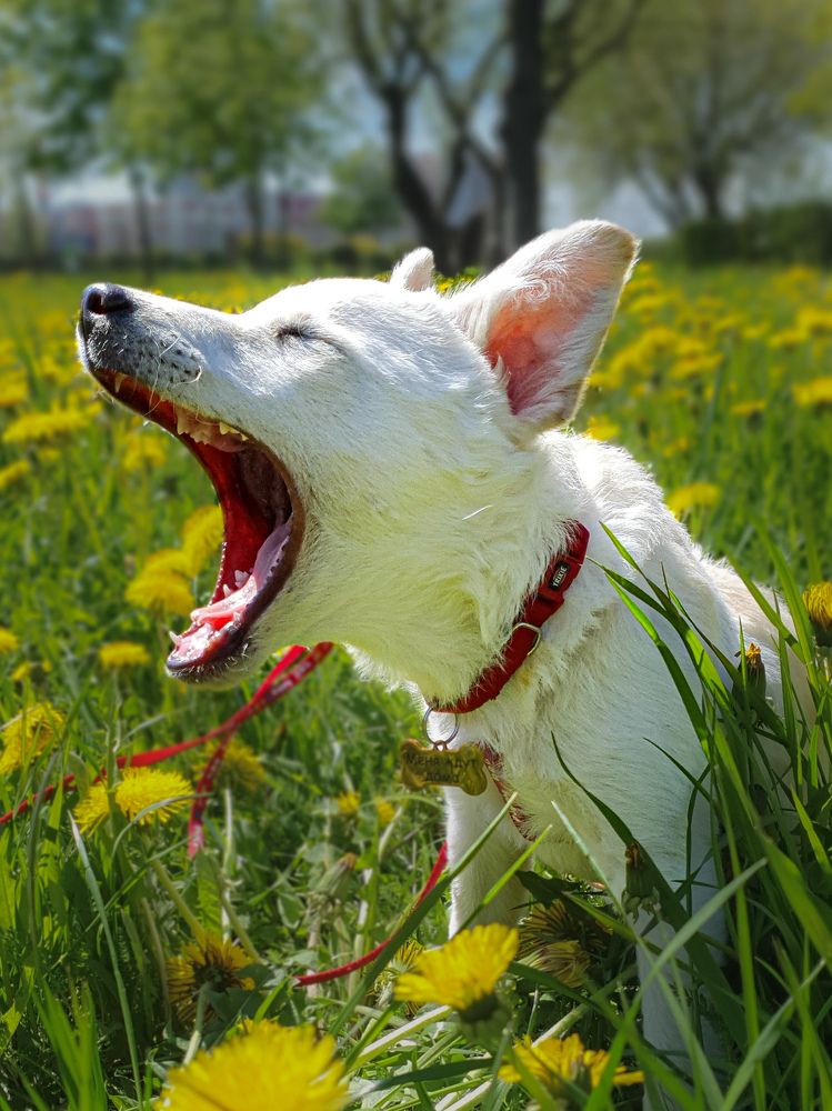 Фотография автора Ольга Шишук