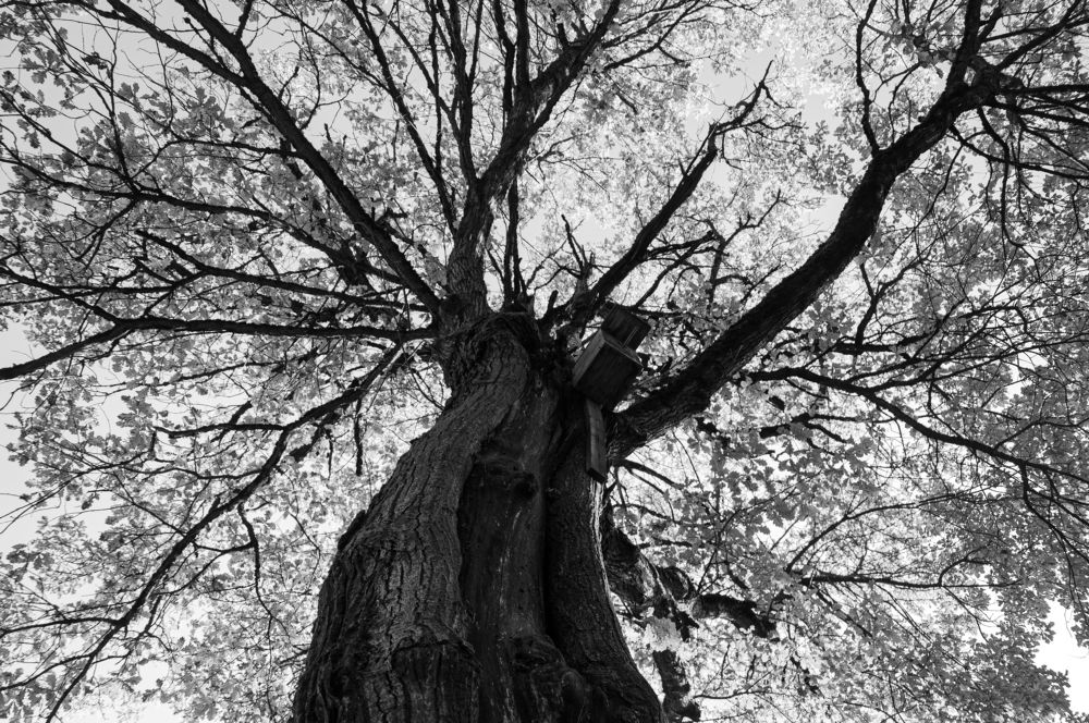 Photograph by Natalia Artamonova