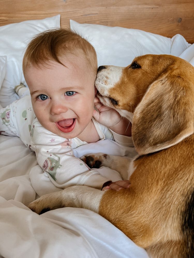 Photograph by Олена Уманцева