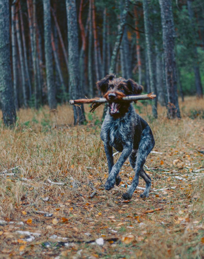 Photograph by Ольга Глущенко