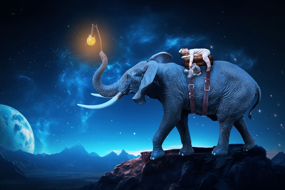 Фотография автора Peter Rooney