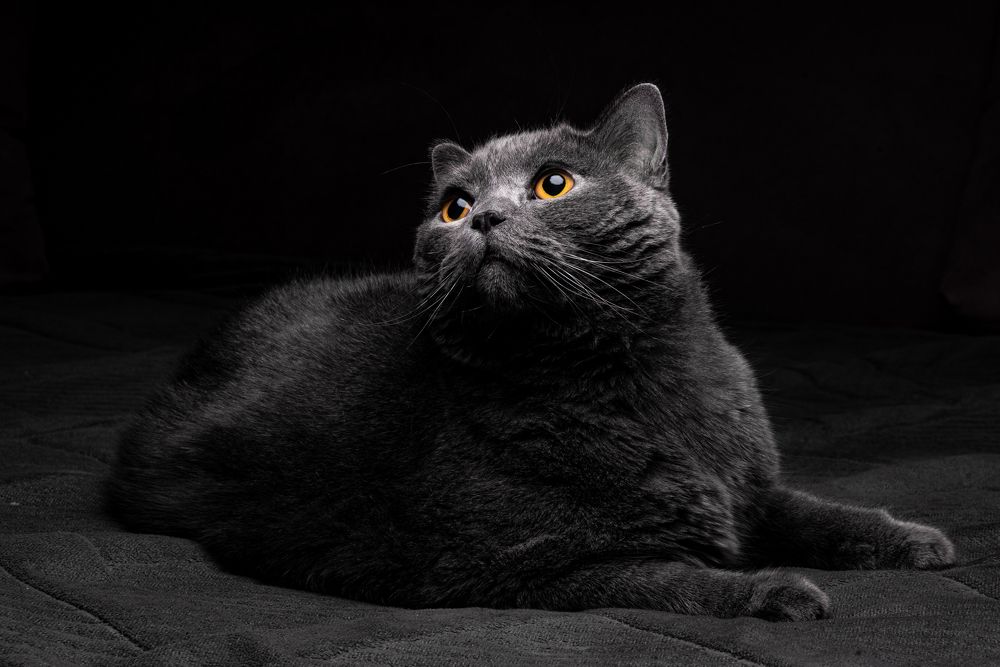 Photograph by Глеб Бухало