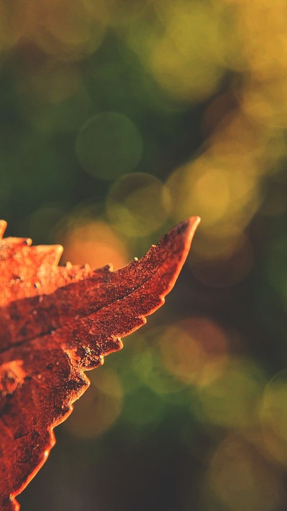 Photograph by Ольга Веселова