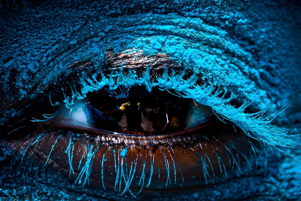 Photograph by Shouvik Datta