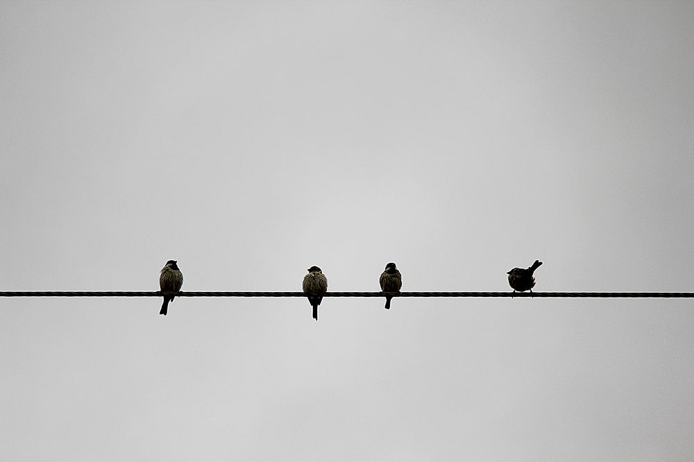 Photograph by Masoud Nikokalam