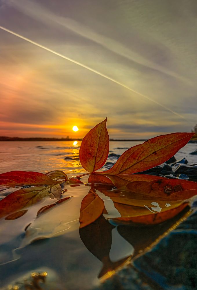 Photograph by Александр Разумов