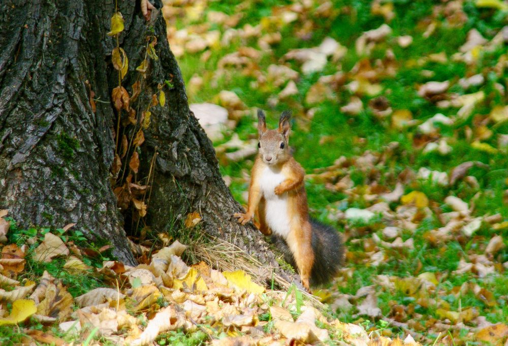 Photograph by Ирина