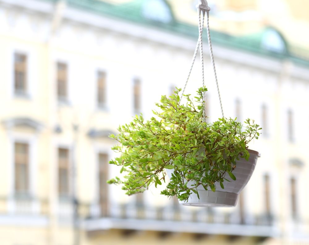 Photograph by Станислав Вершинин