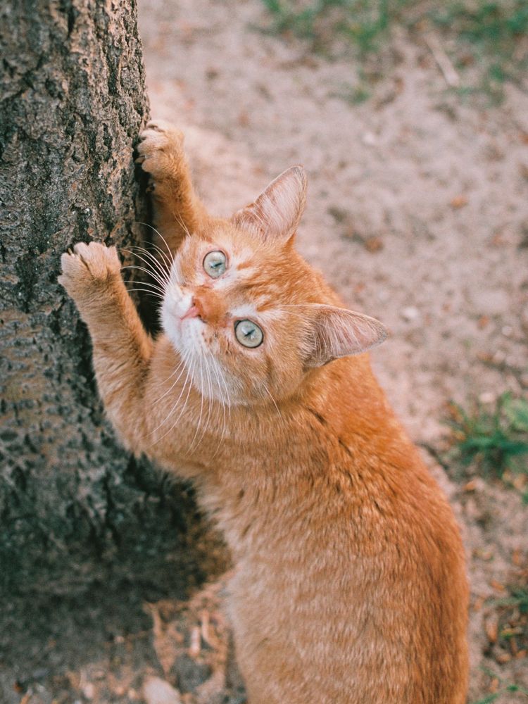 Photograph by Антон Бондарчук